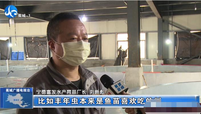 春季大黄鱼病害问题如何防治？别急，省农科院专家为您支招