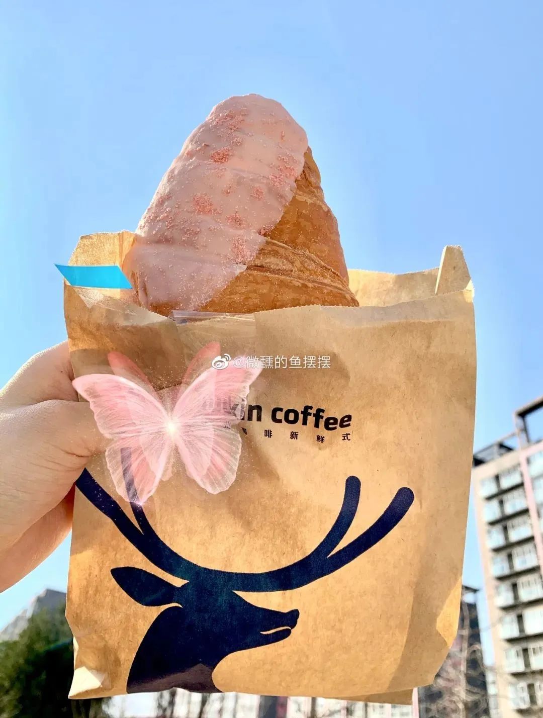 武大樱花雨现场,武大樱花周日还有票吗