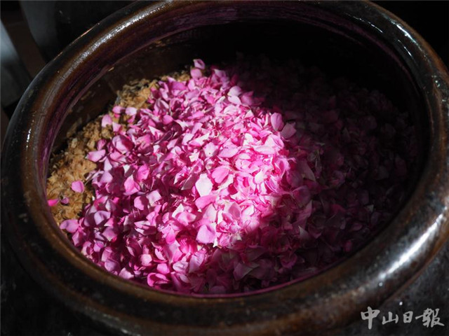 时令的味道,时令的味道完整版