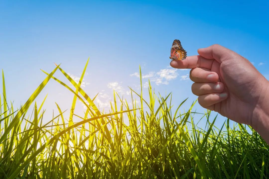 和国运相关的行业,与国运相通的人