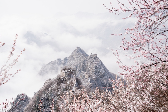 中国春雨图鉴图片,春雨图片大全大图