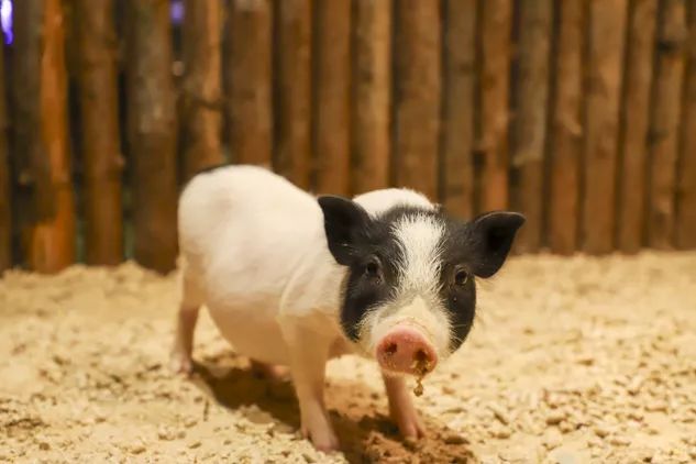 海信科学探索中心198团购,海信科学探索中心便宜门票