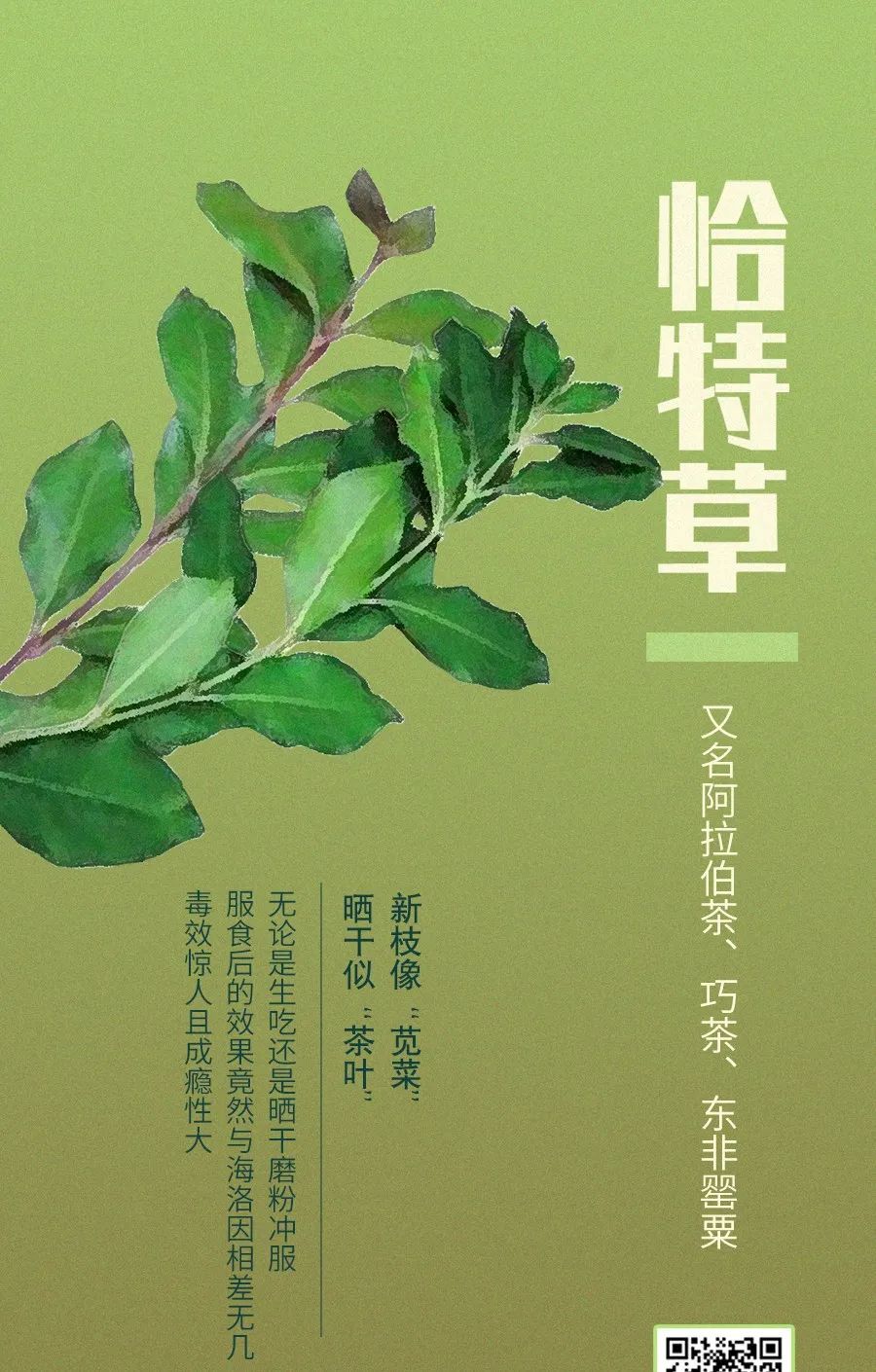 有毒的食物不能乱吃,有毒的食物别再吃