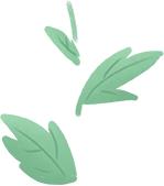 更年期子宫肌瘤方子,更年期子宫肌瘤最佳治疗方法