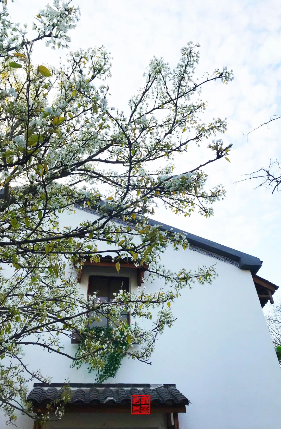 南京江宁网红打卡点有哪些,春日限定江宁新晋网红打卡点出炉