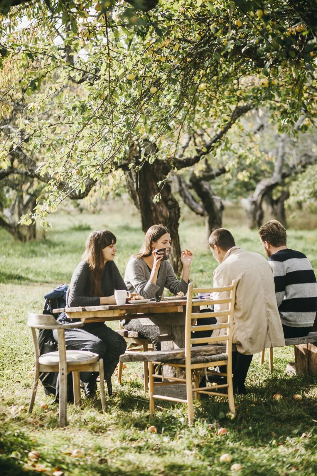 宅家的日子里也要过好,宅家的日子里