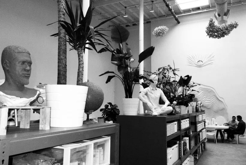 lifewear,lifewear春夏