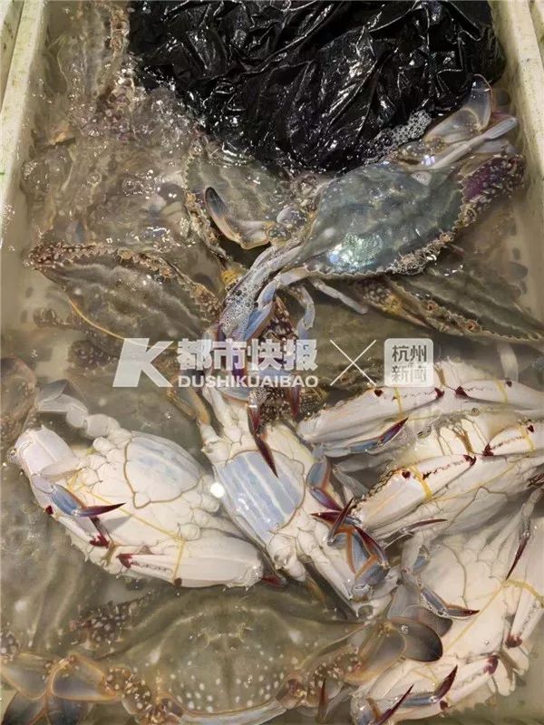 为什么怀孕的母蟹不能吃,为什么怀孕母蟹不能吃