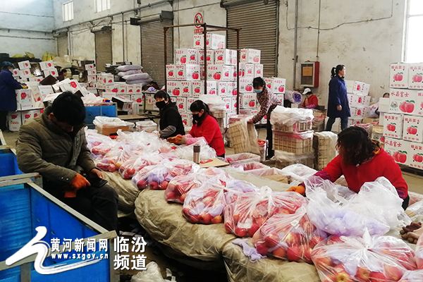 吉县苹果跨境电商,吉县苹果品牌战略