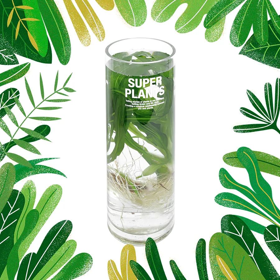 VvvvVvvVVvvvvvVvvVvvv