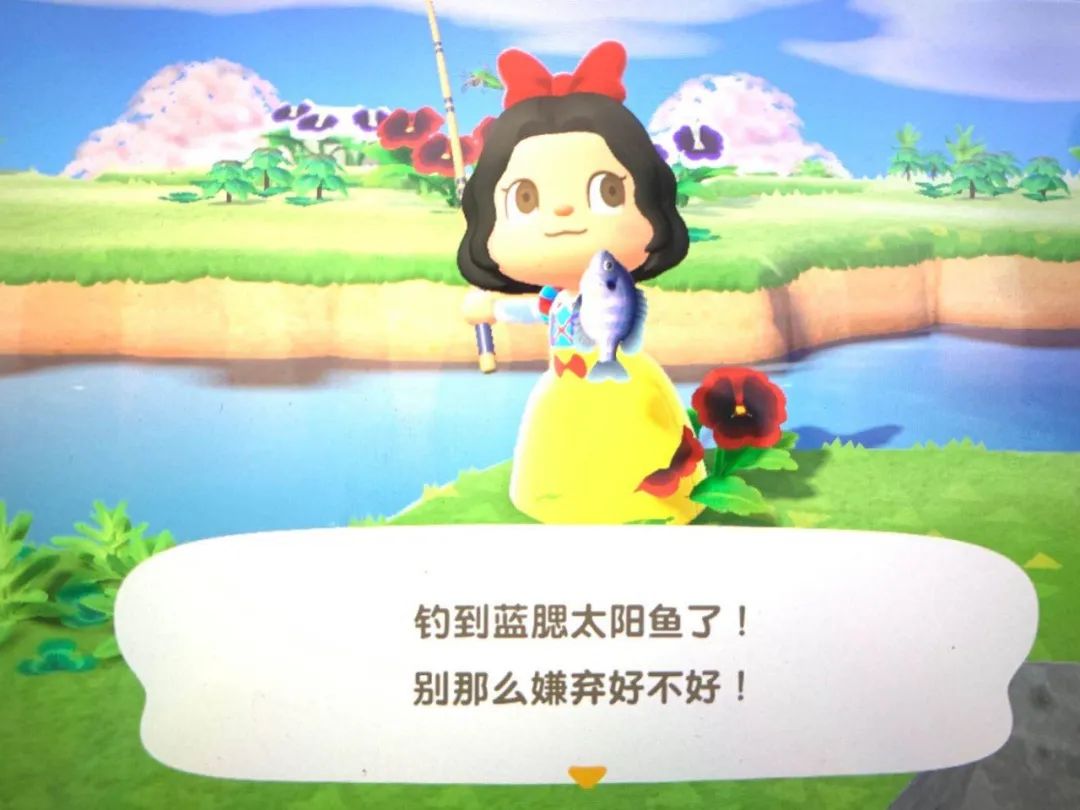 动森能钓黑鲈鱼吗,动森黑鲈鱼出现时间