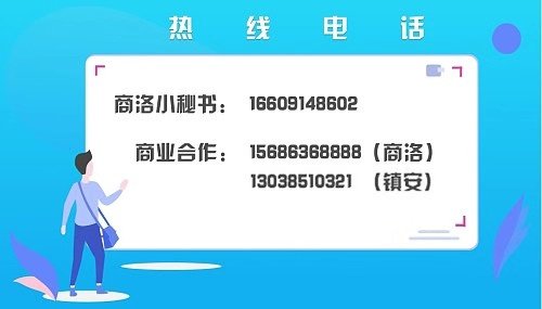山阳葛条村200余亩天麻丰收！可望带回100余万元收入