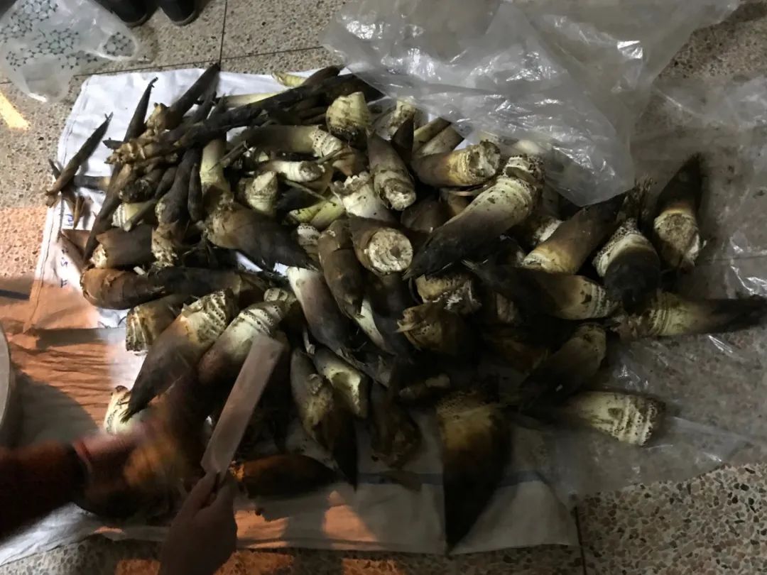 湖南又有人中招！说了八百遍，这东西千万别碰！一家6口误食后全倒下…