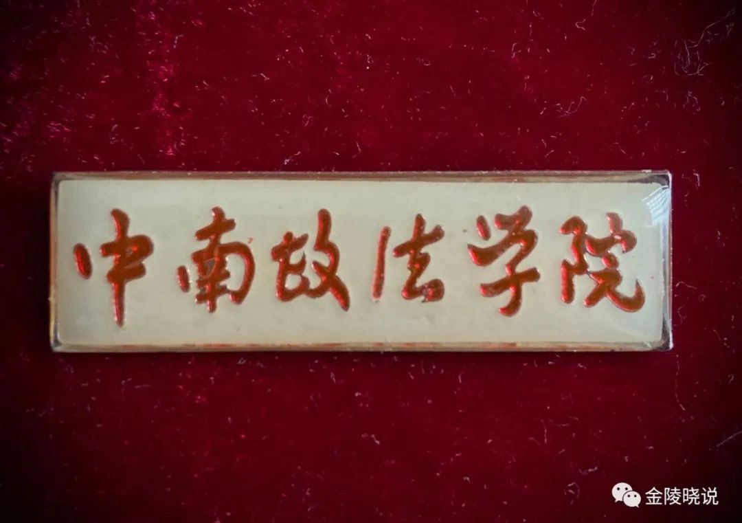 中南往事的故事,中南往事2019