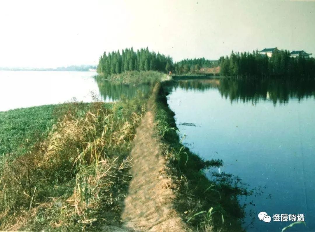 中南往事的故事,中南往事2019