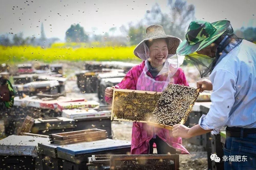 妇联巾帼助农,巾帼暖心助农
