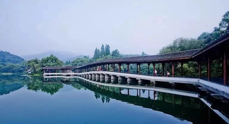 且听风吟且看花开,且听风吟看花开