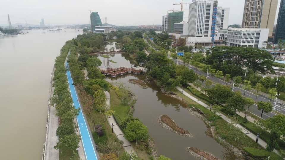 广州国际生物岛,广州国际生物岛最新消息