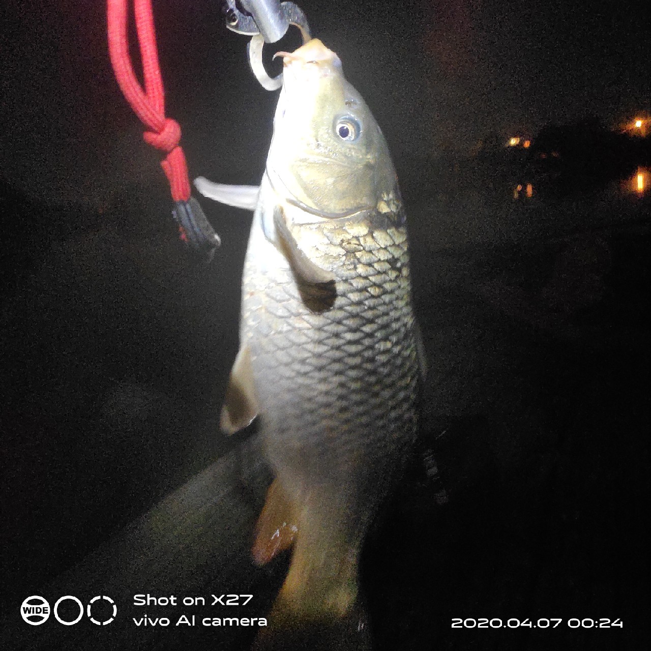 秋季野钓有鱼无口,鲫鲤兼钓技巧