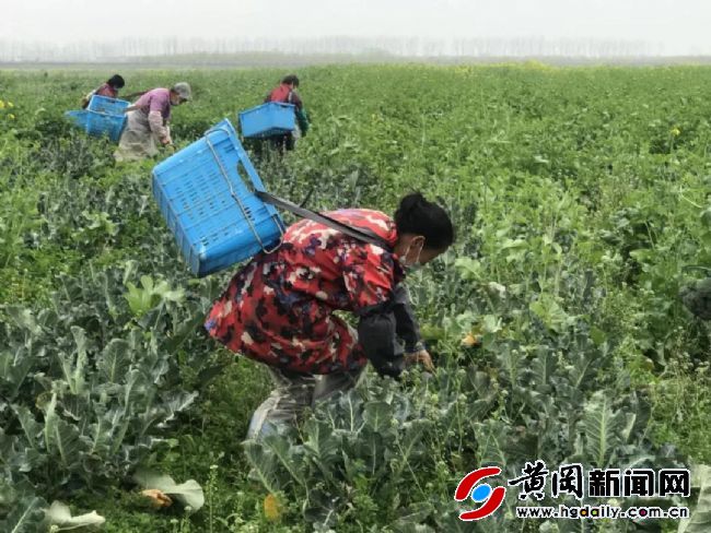 在这场没有硝烟的防疫战,在没有硝烟的经济战场上