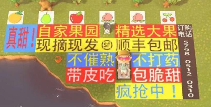 玩动森挣人民币,动森几百万怎么赚