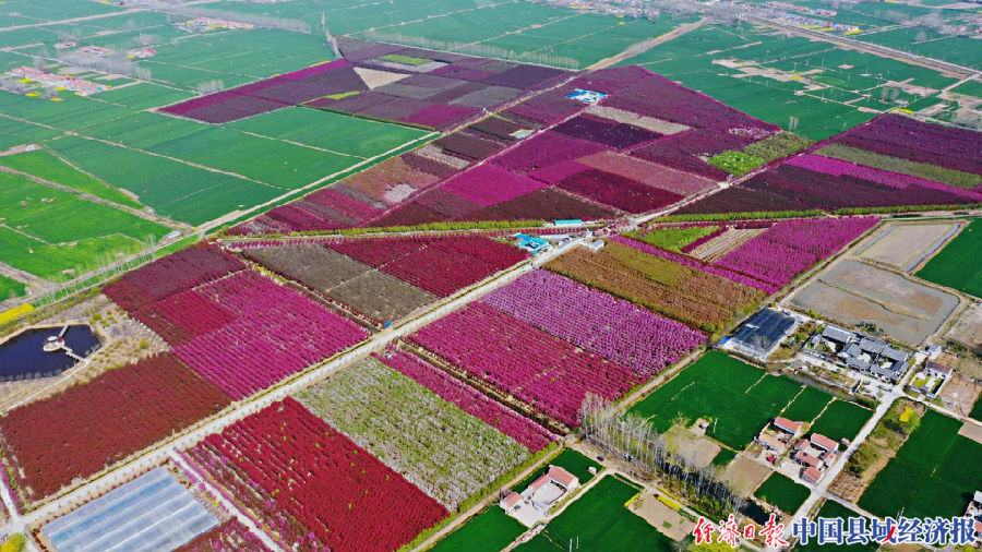 国务院通报表扬沭阳,江苏沭阳荣誉称号