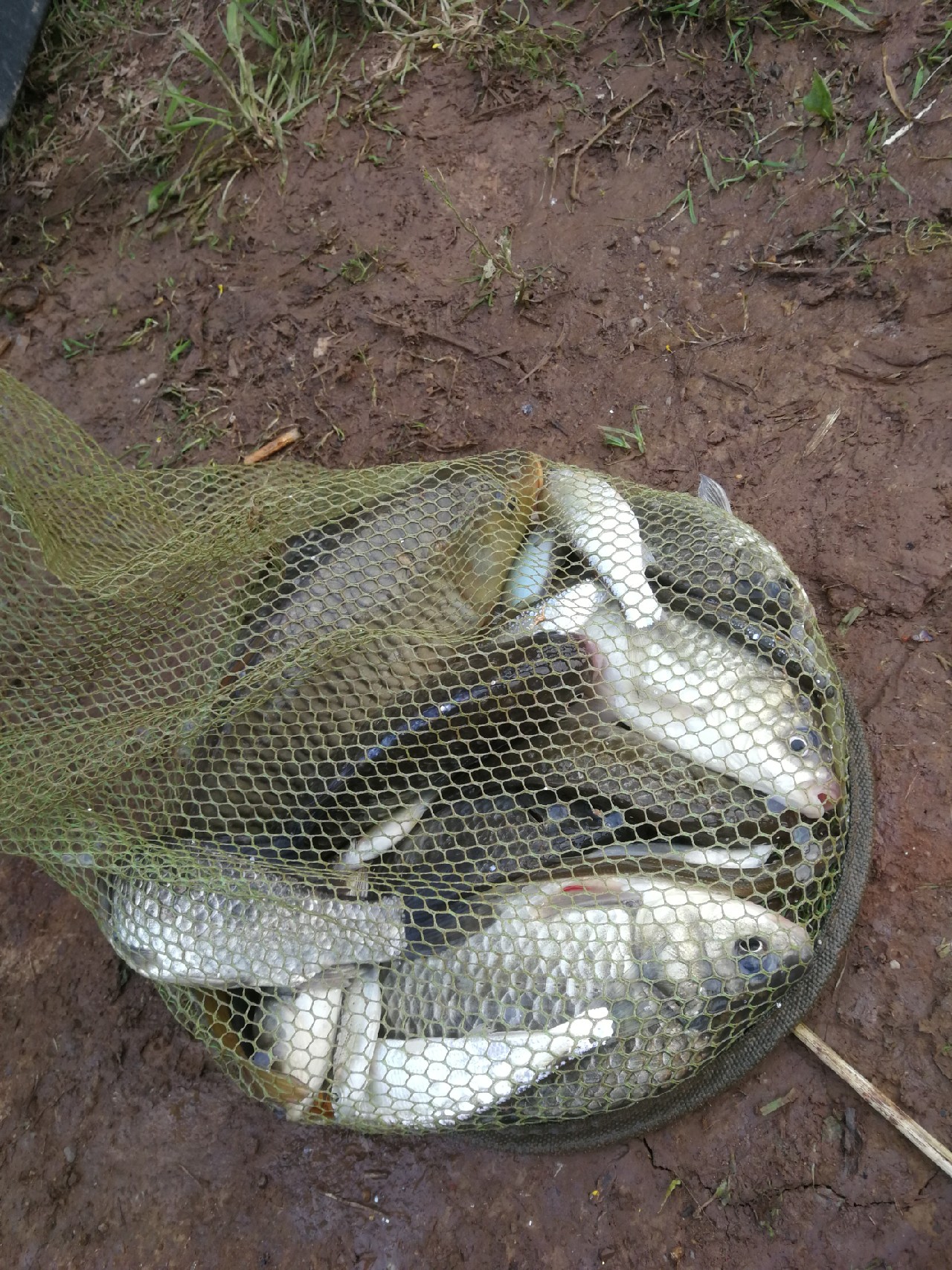 单枪匹马不如跟随大师脚步，爆桶小小过把瘾