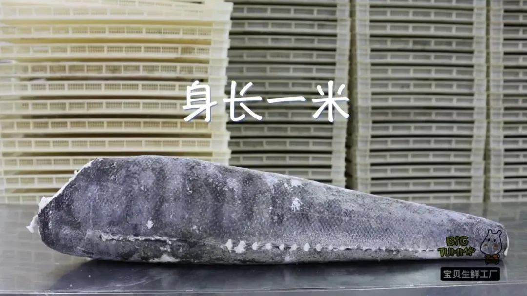 大人和小孩都能吃的鳕鱼做法,鳕鱼不放盐怎么做宝宝喜欢吃