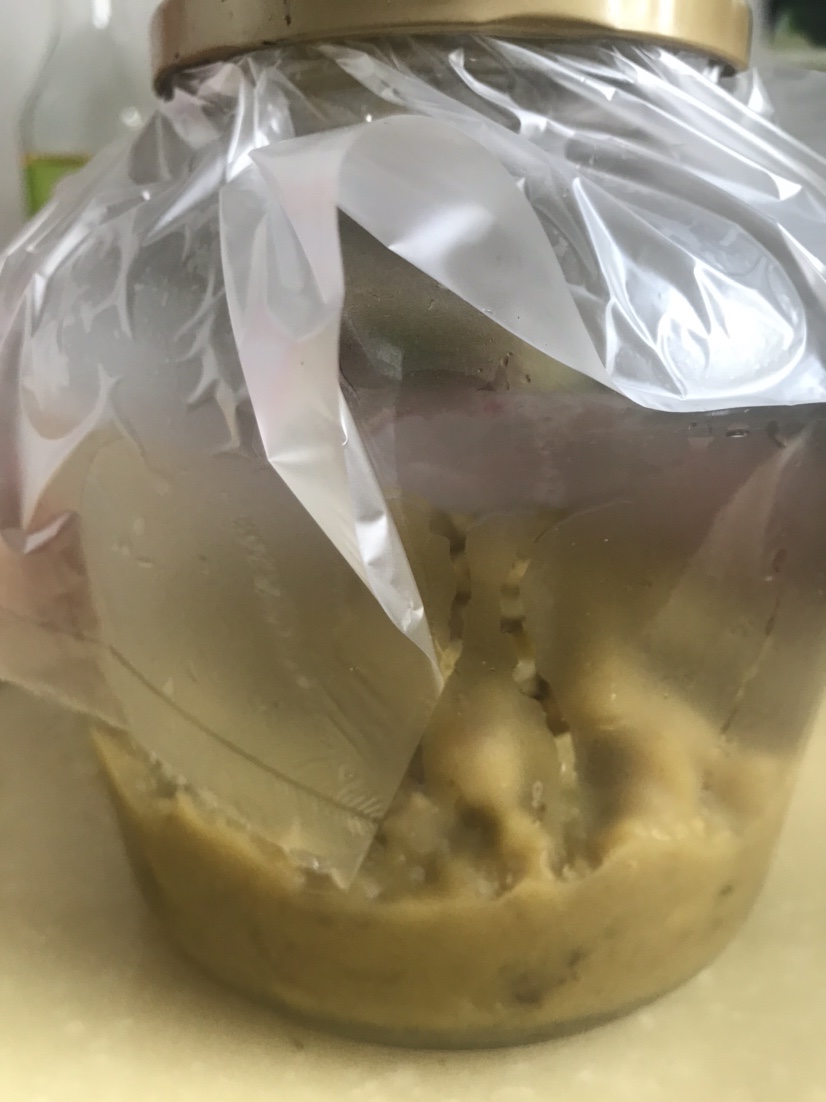 「春季开钓」分享薯香配料制作和蚯蚓的保鲜方法