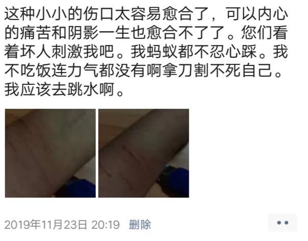高管性侵养女事件被立案调查结果,高管涉嫌性侵养女案最新解析