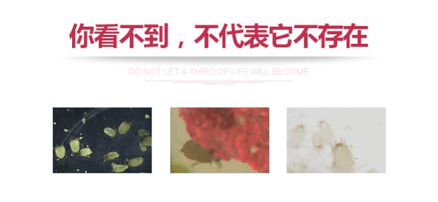 一穿就上瘾的*裤内**!清爽不闷汗,柔软有弹性,下身像风一样自由