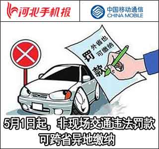 肇庆交通违规新闻,交通违法违规新闻