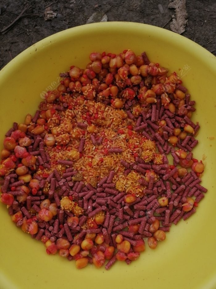 北方11-12月野钓策略,冬季野河野钓思路