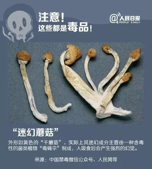 禁毒故事吸毒者自白,从吸毒到禁毒的真实故事