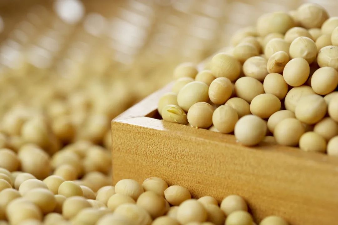 五谷是什么分别指哪些,五谷是什么五谷具体是哪5种