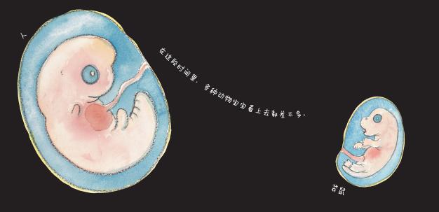 当当购书啥时优惠力度大,当当买书300-100优惠码