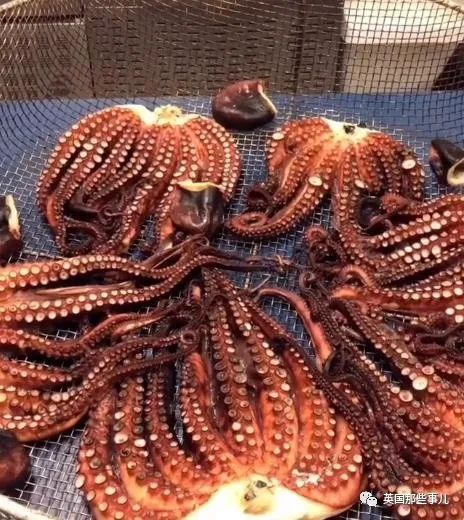 娣辨捣鎬奔缇庨,娣辨捣鎬奔鍒朵綔