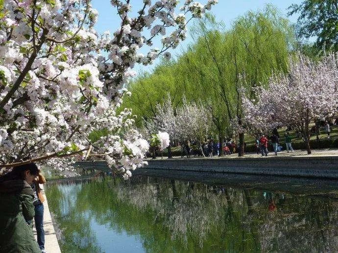 北京春季和秋季花粉过敏哪个厉害,预防花粉皮肤过敏的正确方法