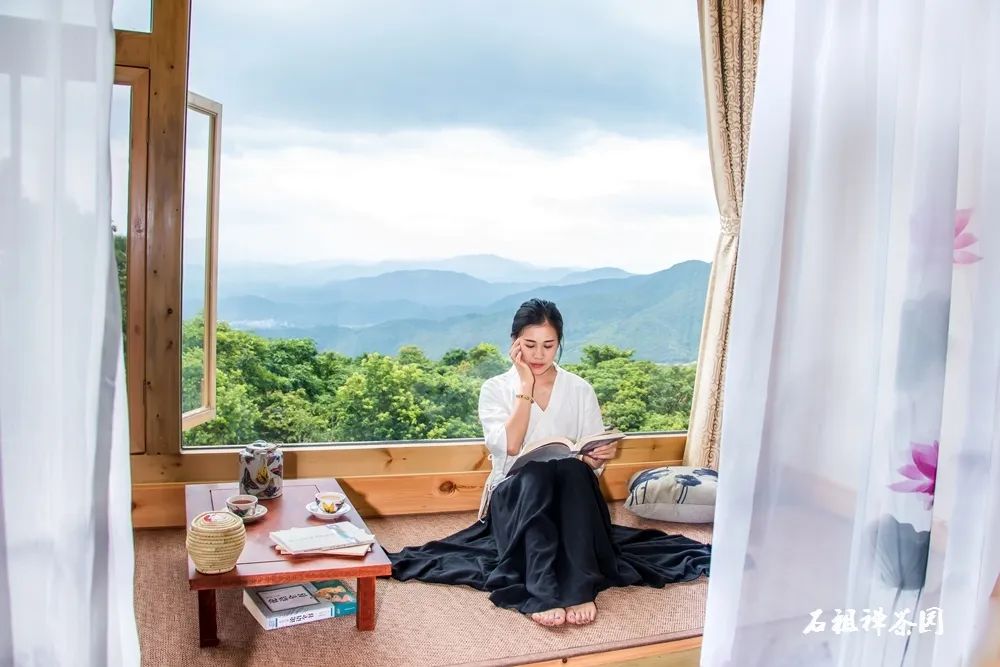 茶香禅韵入梦完整视频,世外桃源神仙度假地