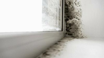 除霉神器,哪些好用又便宜的去霉神器