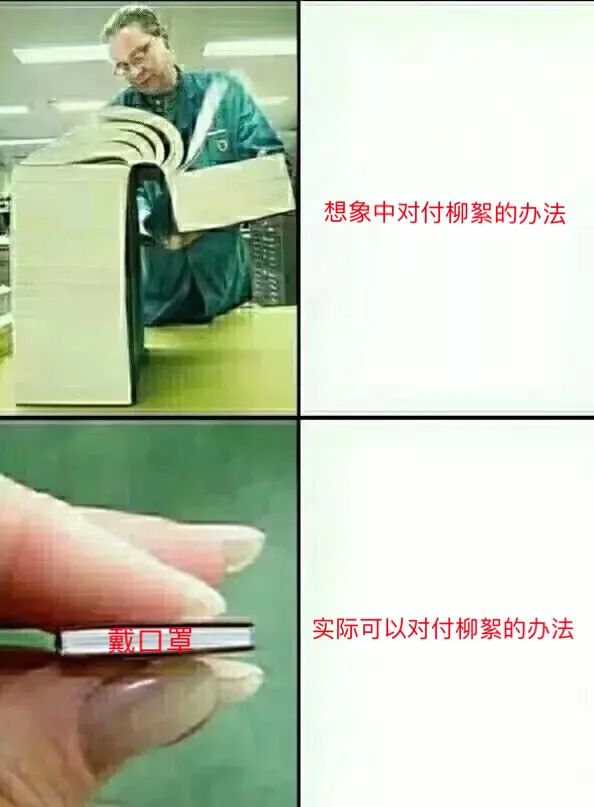 为什么房子里总有小毛毛,为什么房子里面会长蘑菇科学探究