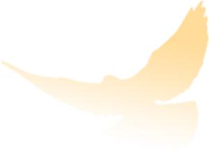 广州广信君达律师事务所刘嘉,广东广信君达律师事务所怎么收费