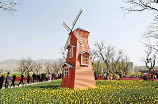 永靖刘家峡如意公园郁金香,永靖郁金香旅游景点图片