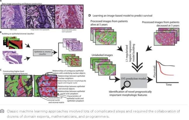 入门ai卷积神经网络,AI卷积神经网络