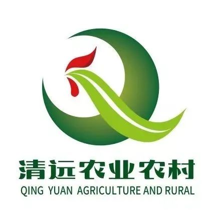 今年清远中考有变化吗,清远中考总分多少分