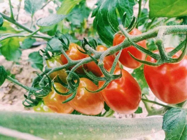 好吃到停不下来少女心爆棚,好吃到停不下来高颜值