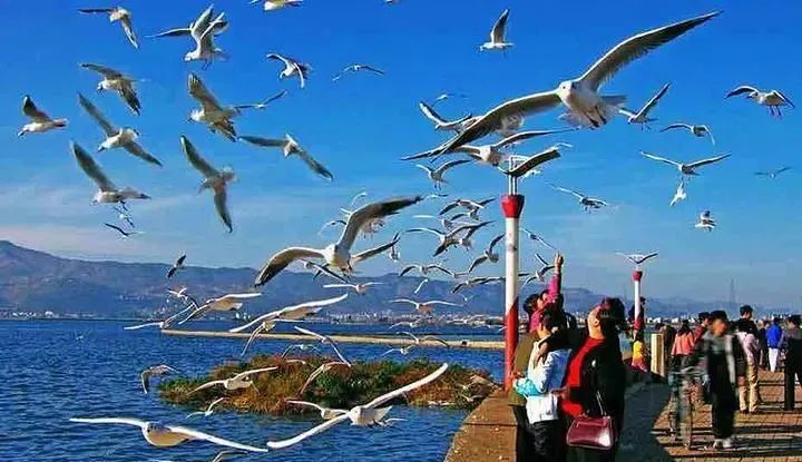 惠州机场直达航线,惠州机场2023航线