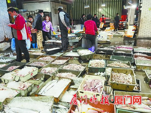 休渔将至赤鯮鱼、巴浪鱼、丝丁鱼等新鲜本港渔货近日成市民采购热门