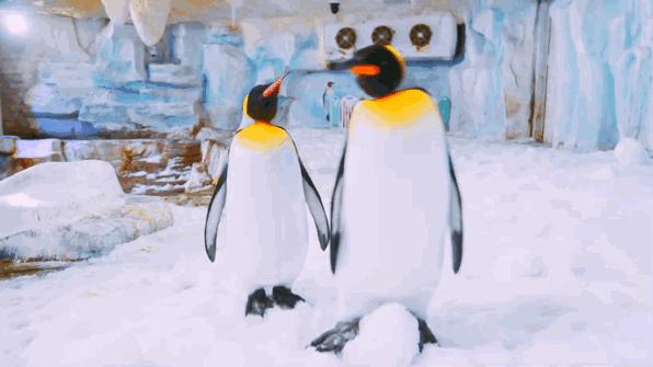 免费！半价！1000000个产品等你来撩“好客山东游品荟”来啦