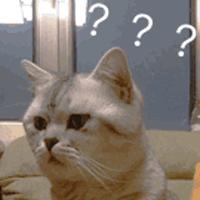 苏州新增电子警察抓拍,苏州工业园区电子警察抓拍分布图